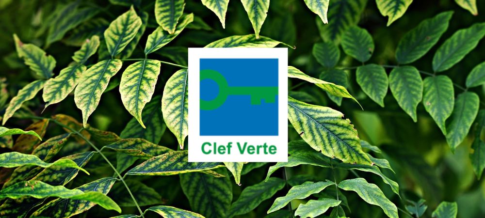 You are currently viewing Mais qu’est-ce que le label Clef Verte? 🌳